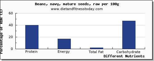 chart to show highest protein in navy beans per 100g